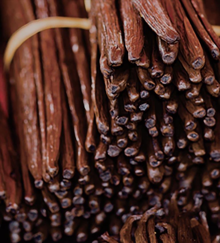 Variedad: Vanilla Planifolia